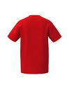 2082549_R.jpg