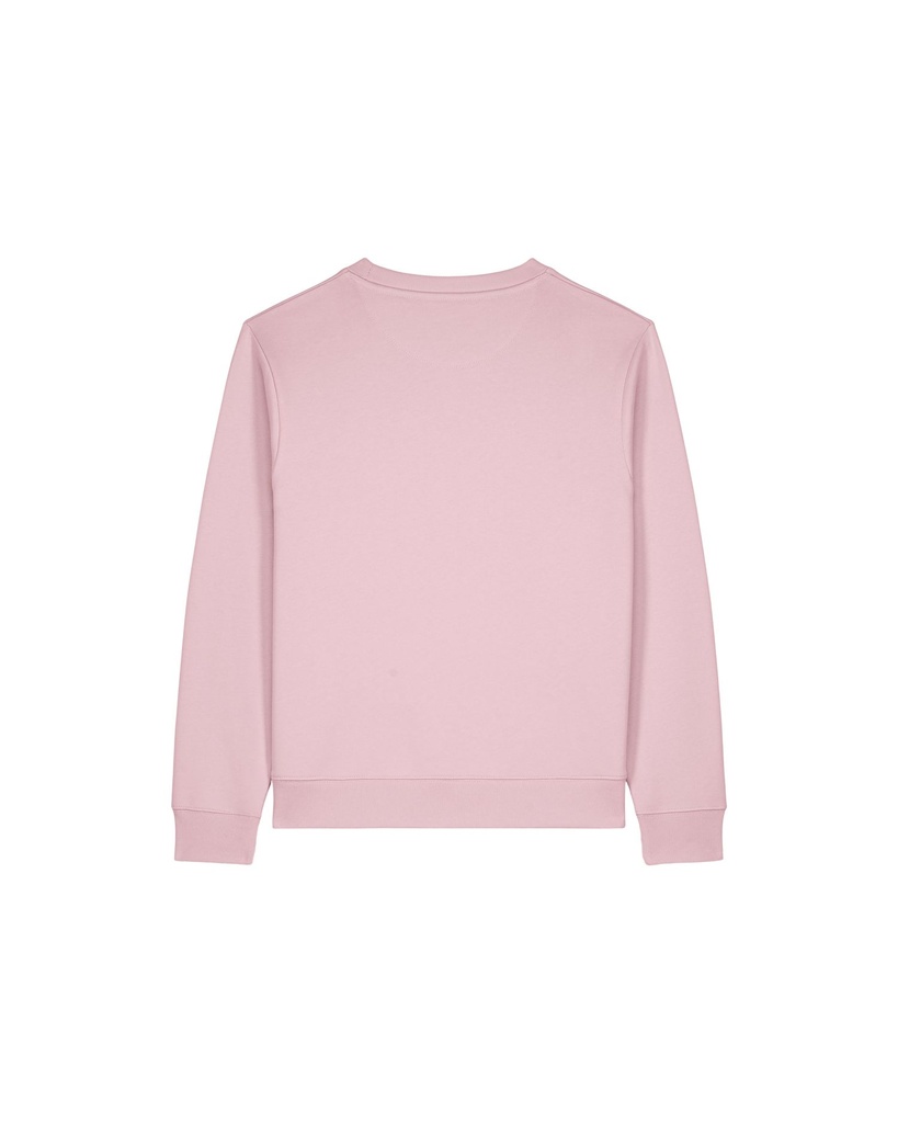 PBM0_STSW254_C005.jpg