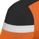 81421309_03.jpg