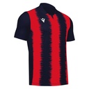 50990702.jpg