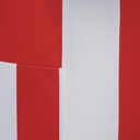50650201_03.jpg