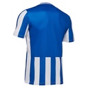 50650301_02.jpg