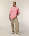 SFM5_STTU959_C360.jpg