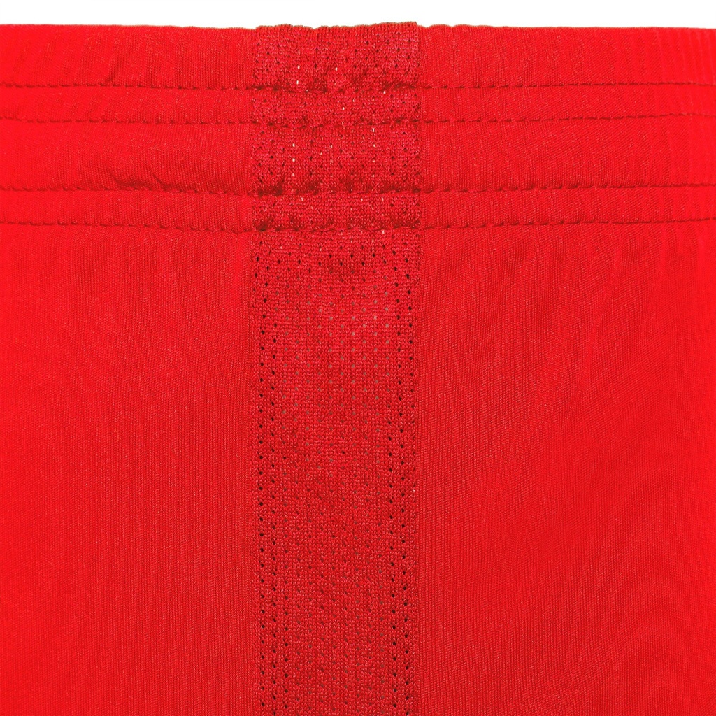 508802_03.jpg