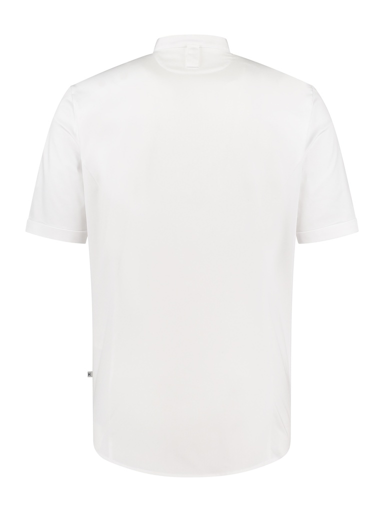 101401001_12-back.jpg