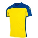 Pride Shirt — Yellow-Royal