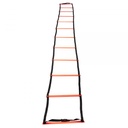 Training Ladder — Orange-Black