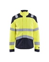 4418 APC 2 Multinorm jack inherent
