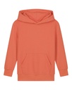 Mini Cruiser 2.0 Hoodie Fiesta