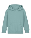 Mini Cruiser 2.0 Hoodie Teal Monstera