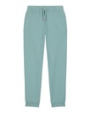 Mini Mover 2.0 Joggers Teal Monstera