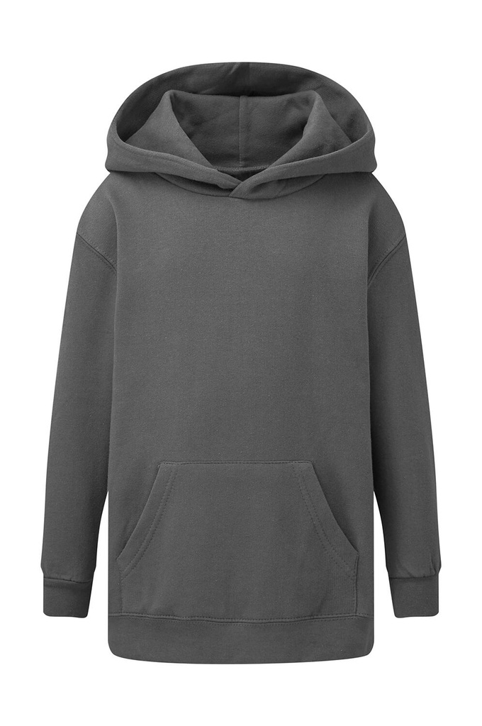Hooded Sweatshirt Kids Grey