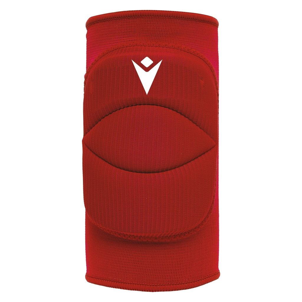 Tulip (6-pack) — Red