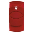 Tulip (6-pack) — Red