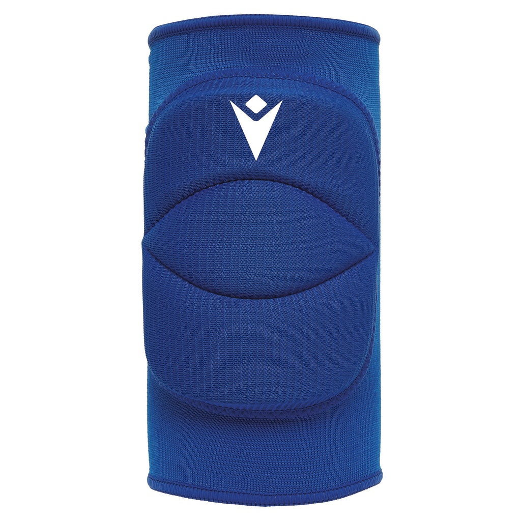 Tulip (6-pack) — Royal Blue