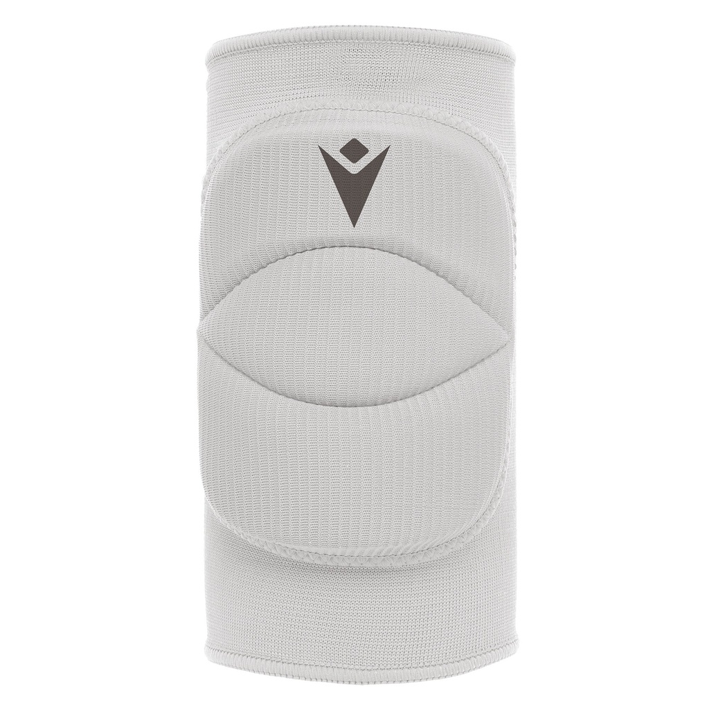 Tulip (6-pack) — White