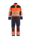 6379 Multinorm Overall