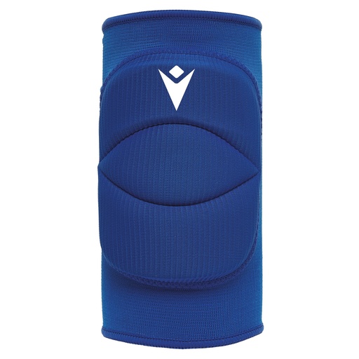Tulip (6-pack) — Royal Blue