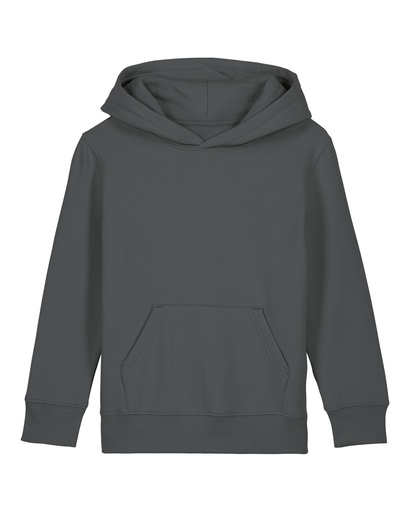 Mini Cruiser 2.0 Hoodie Anthracite