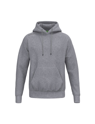 TS Hoody grijs