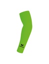 Armsleeve green gecko