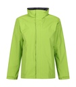 Ardmore Jacket Keylime/Seal Grey