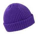 Whistler Hat Purple
