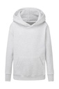 Hooded Sweatshirt Kids Ash Grey
