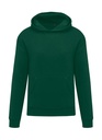 Originals Hooded Sweat Kids Bottle Green
