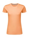 Signature Tagless Tee Women Cantaloupe