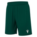 Galax Shorts — Bottle Green