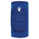 Tulip (6-pack) — Royal Blue