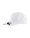 2077 Baseball Cap stretch